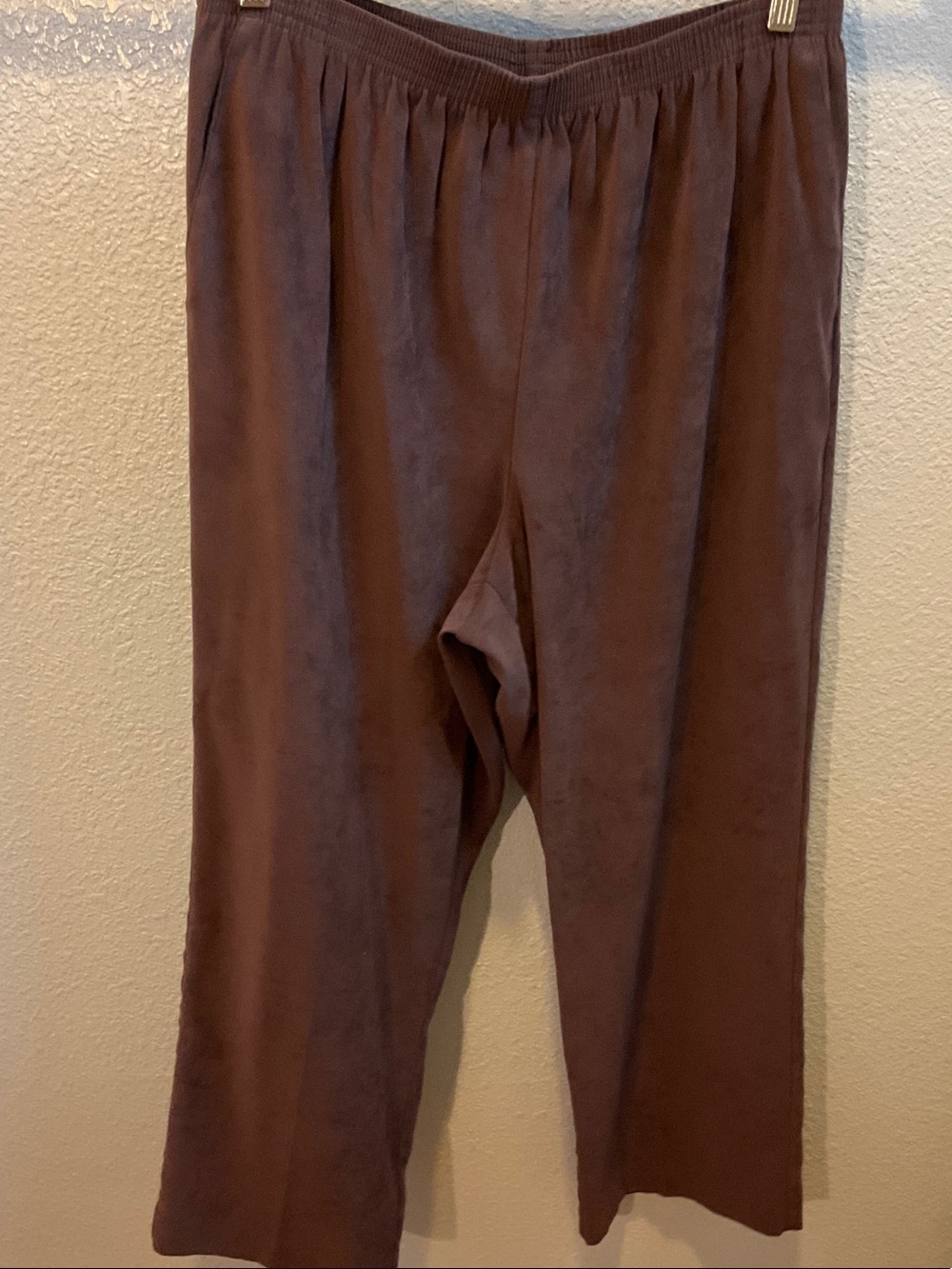 Alfred Dunner Brown Elastic Waist Pull-On Pants